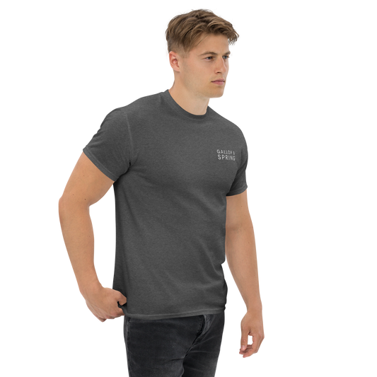 Men's classic tee